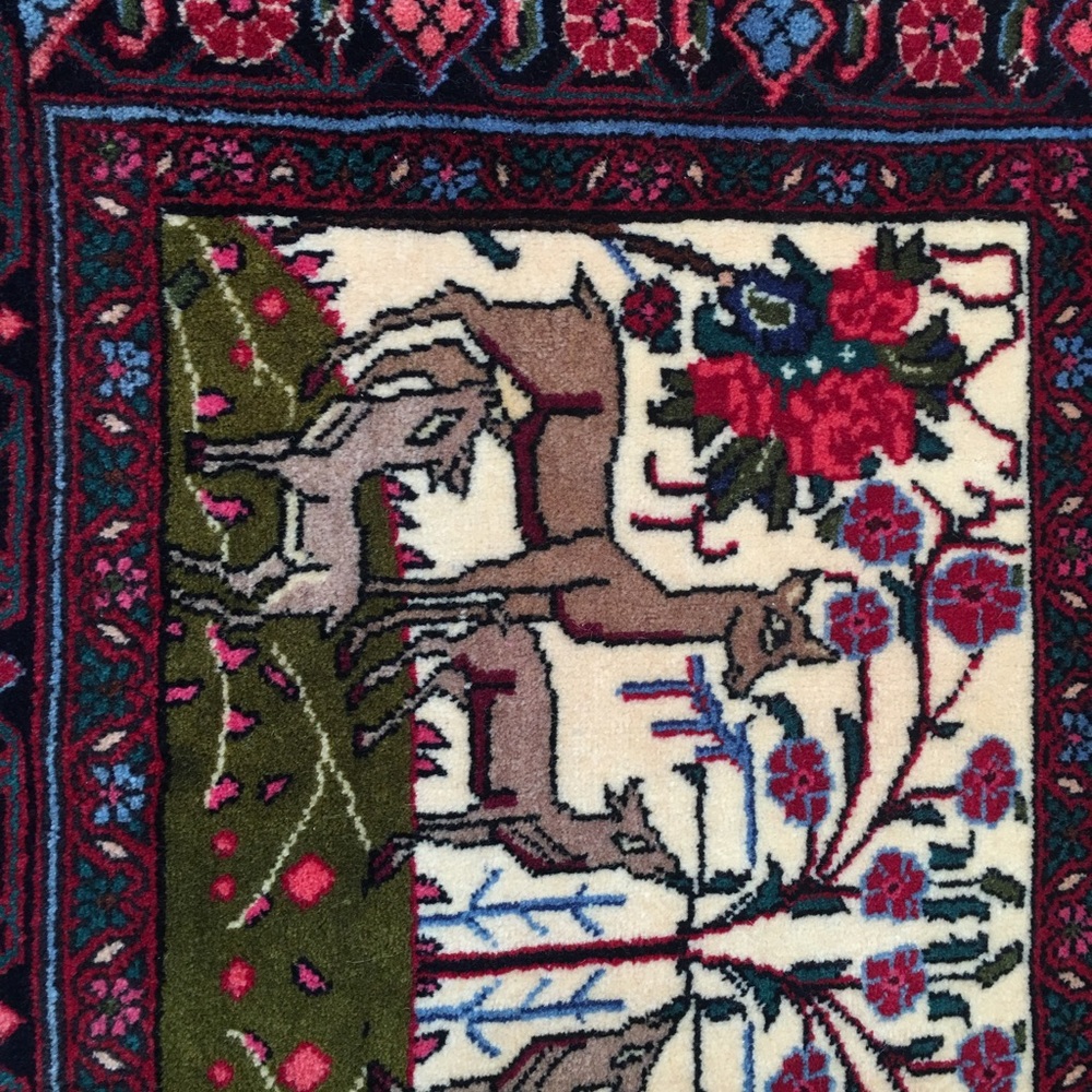 Beautiful Persian handmade rug